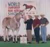 Three Deuces - APHA Stallion