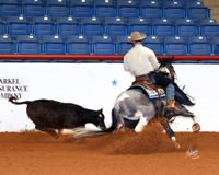 World Show