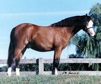 Spencer3