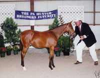Spencerfoal3